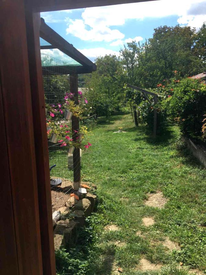 Adori Apartment Ilirska Bistrica ภายนอก รูปภาพ